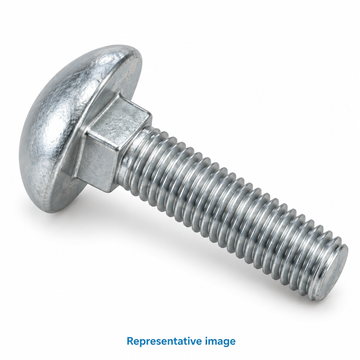 Representative carriage bolt with smooth domed round head, square neck immediately beneath head and threaded shank; size and specification vary — see product details
