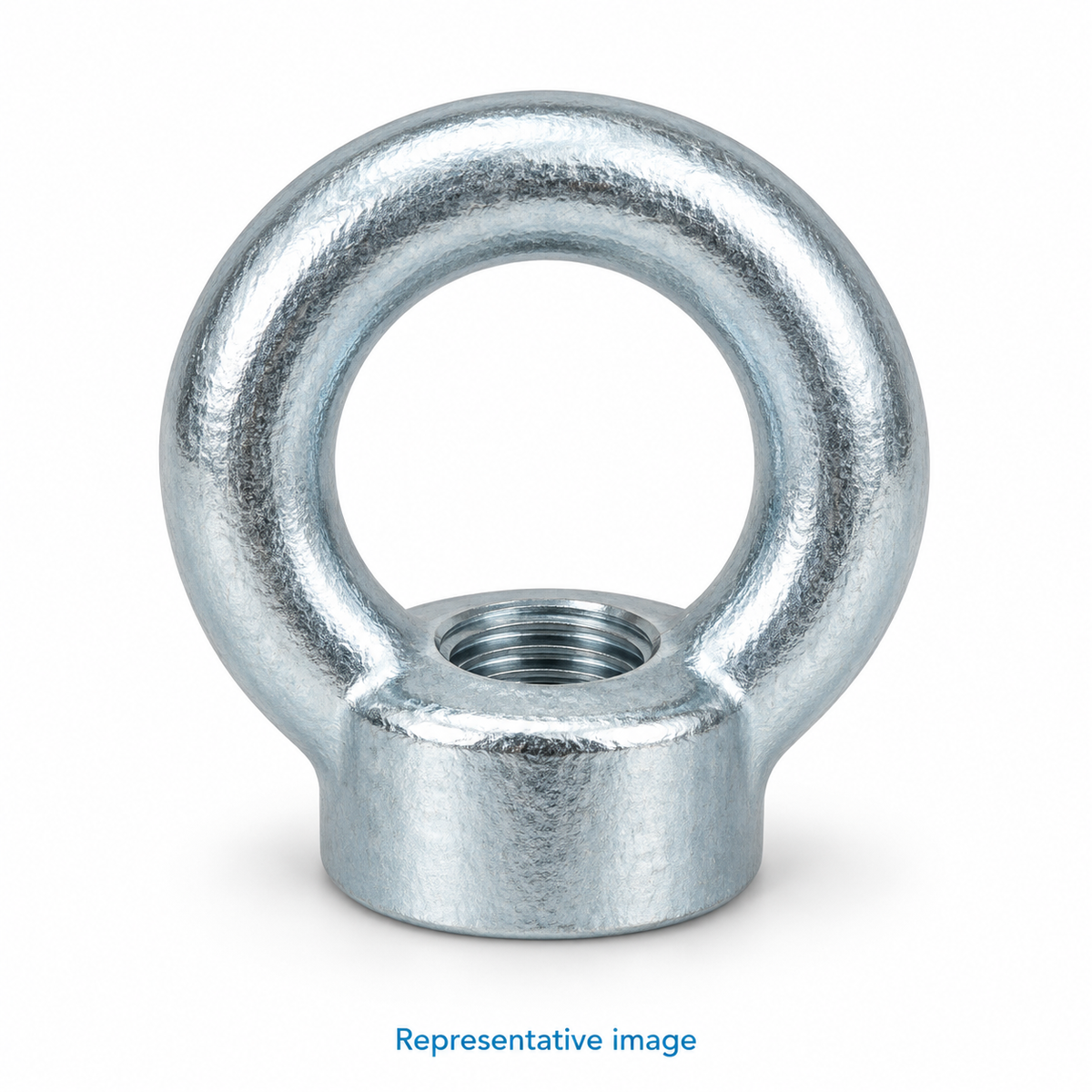 Representative forged lifting eye nut, round ring above a short cylindrical internally threaded base; size and specification vary — see product details