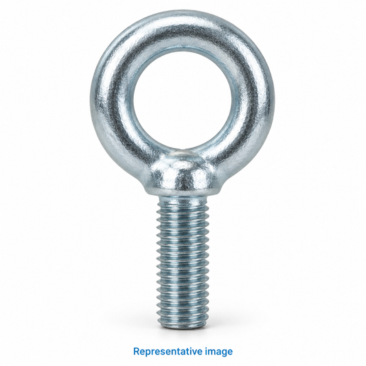 Representative forged eye bolt with circular loop head and threaded shank; size and specification vary — see product details