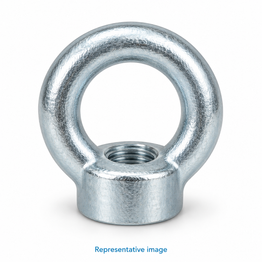 Representative forged lifting eye nut, round ring above a short cylindrical internally threaded base; size and specification vary — see product details