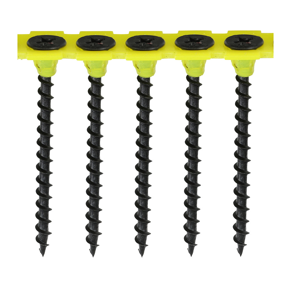 TIMCO DRYWALL COARSE COLLATED SCREW BOX 1000 — official TIMCO product photograph